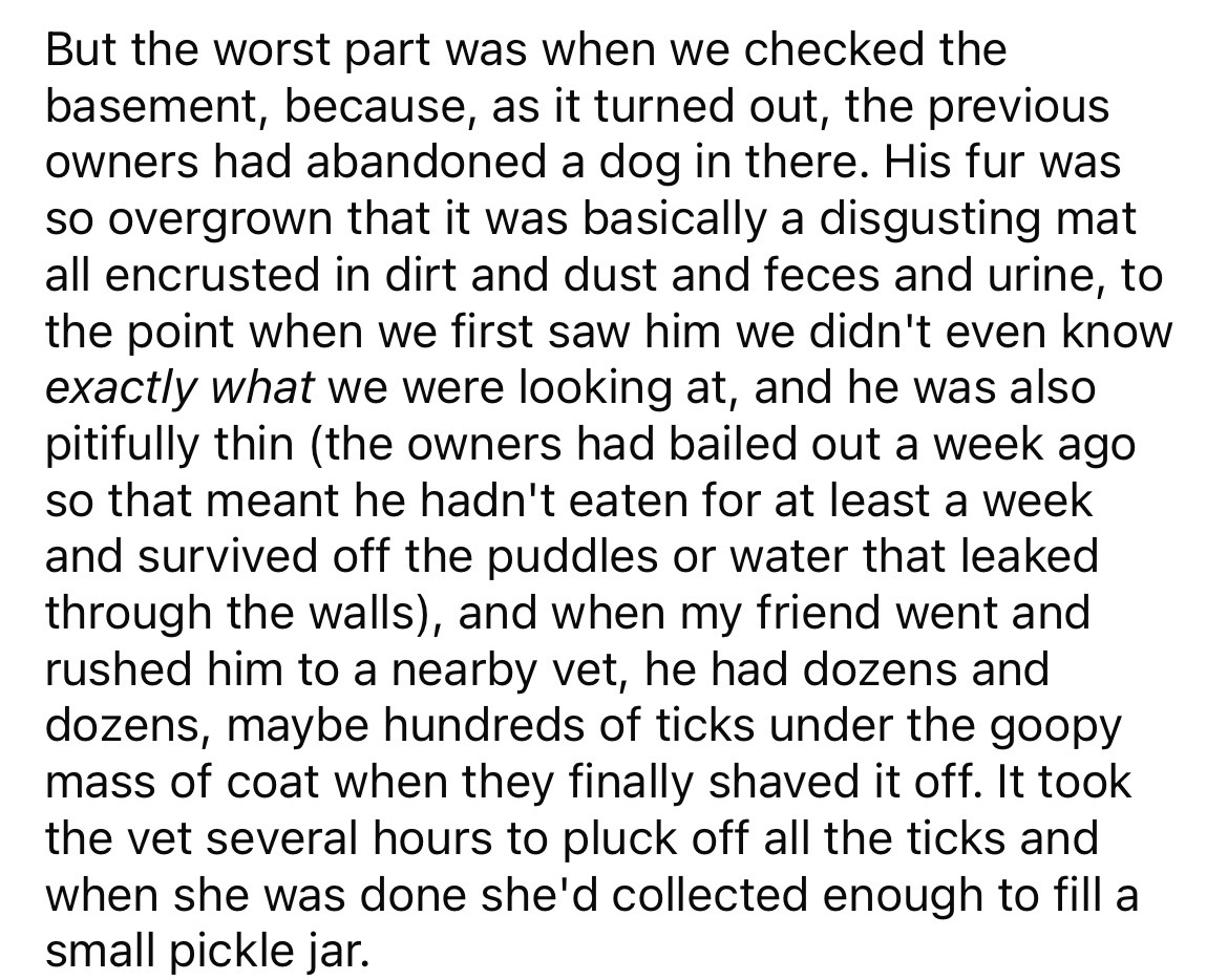 number - But the worst part was when we checked the basement, because, as it turned out, the previous owners had abandoned a dog in there. His fur was so overgrown that it was basically a disgusting mat all encrusted in dirt and dust and feces and urine, 