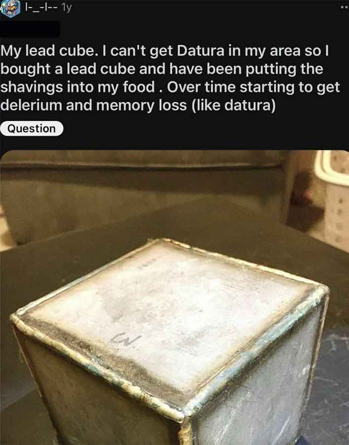 screenshot - I_1 1y My lead cube. I can't get Datura in my area so I bought a lead cube and have been putting the shavings into my food. Over time starting to get delerium and memory loss datura Question