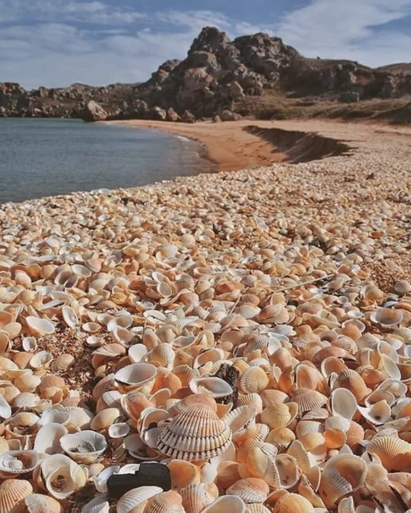 seashell beach spain