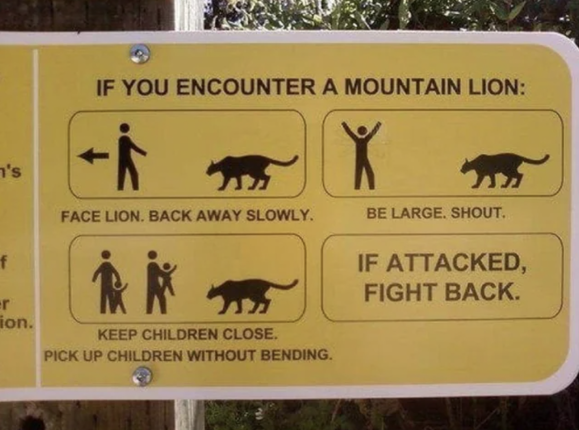 funny animal signs - If You Encounter A Mountain Lion 's Face Lion. Back Away Slowly. f X Be Large. Shout. If Attacked, Fight Back. r ion. Keep Children Close. Pick Up Children Without Bending.