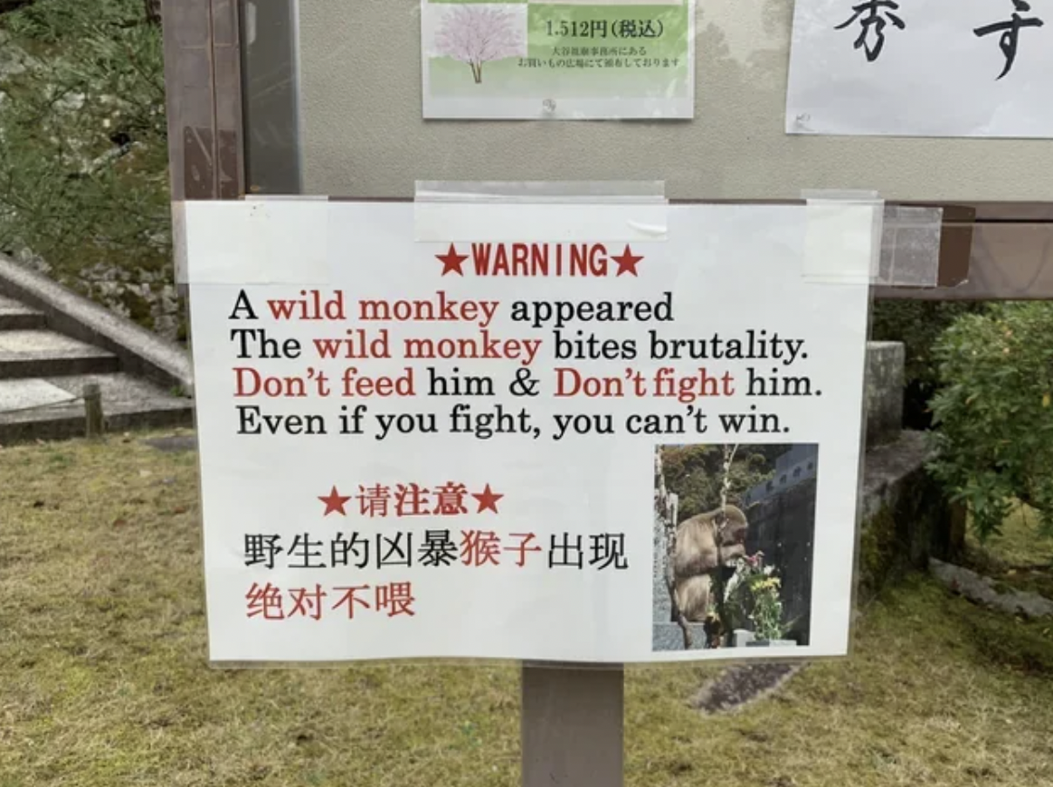 wild monkey appeared - 1.512 Adersbacas Warning A wild monkey appeared The wild monkey bites brutality. Don't feed him & Don't fight him. Even if you fight, you can't win.