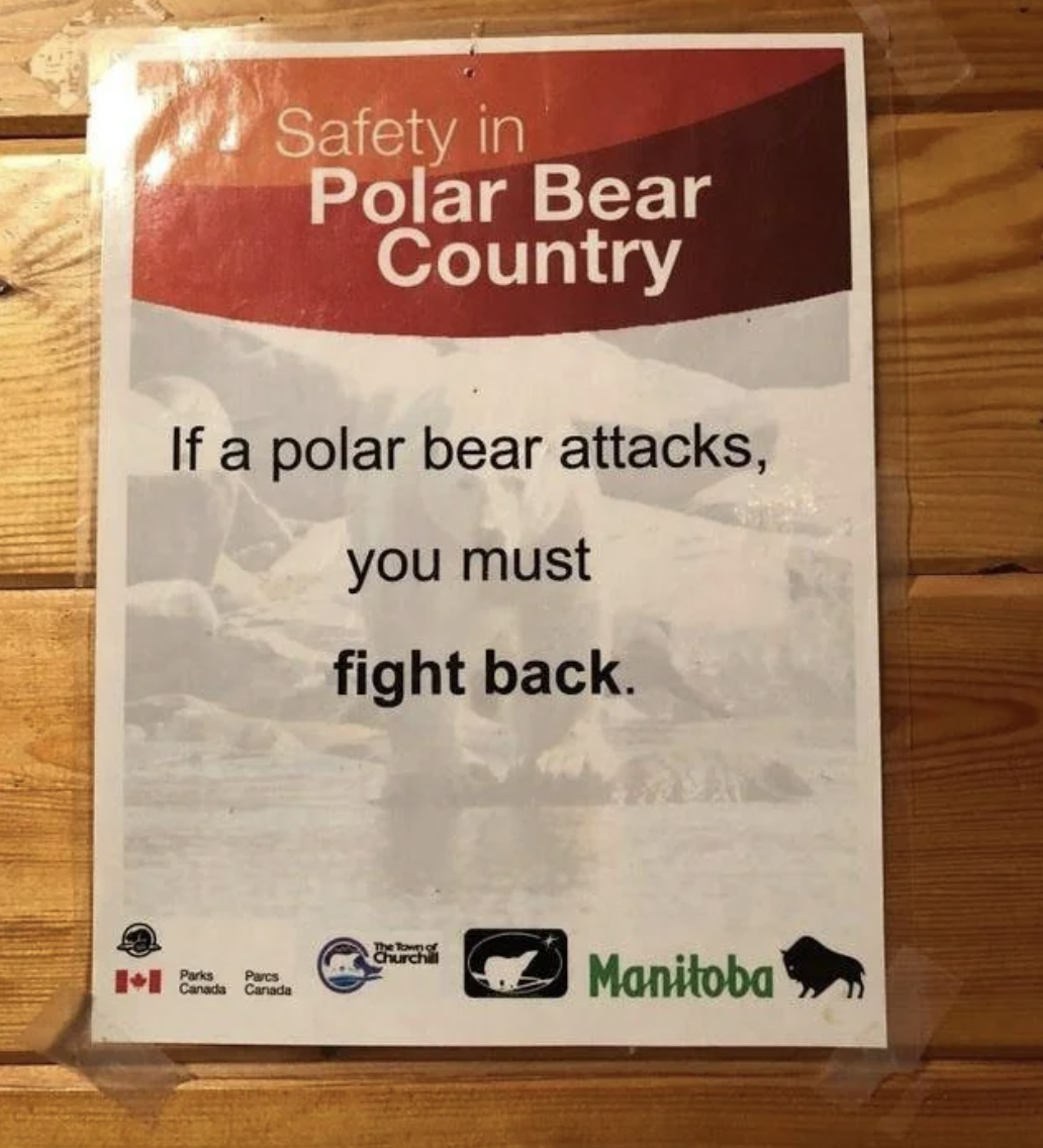 banner - Safety in Polar Bear Country If a polar bear attacks, you must fight back. Church Manitoba Canads Canade