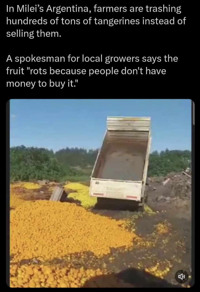 field - In Milei's Argentina, farmers are trashing hundreds of tons of tangerines instead of selling them. A spokesman for local growers says the fruit "rots because people don't have money to buy it."