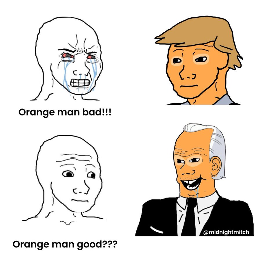 cartoon - Orange man bad!!! Orange man good???