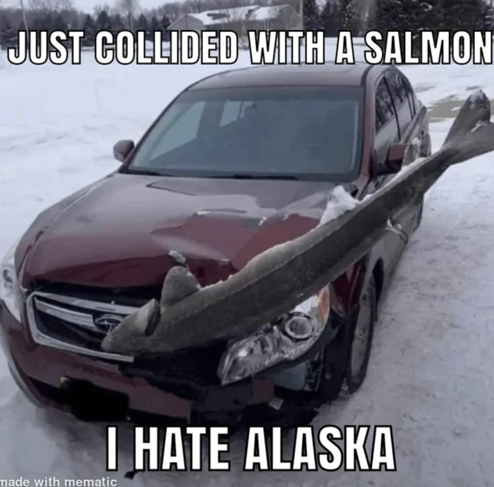 chevrolet cruze - Just Collided With A Salmon made with mematic I Hate Alaska