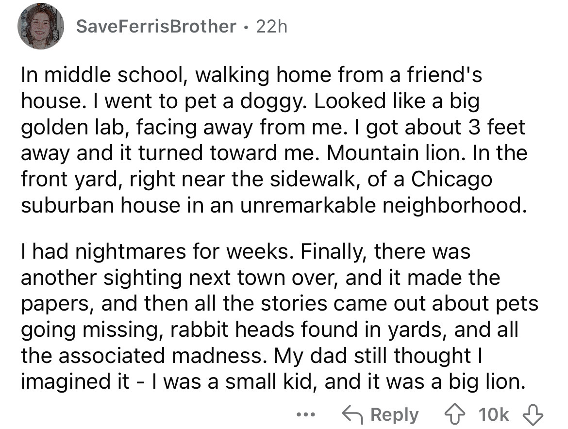 number - SaveFerrisBrother 22h . In middle school, walking home from a friend's house. I went to pet a doggy. Looked a big golden lab, facing away from me. I got about 3 feet away and it turned toward me. Mountain lion. In the front yard, right near the s