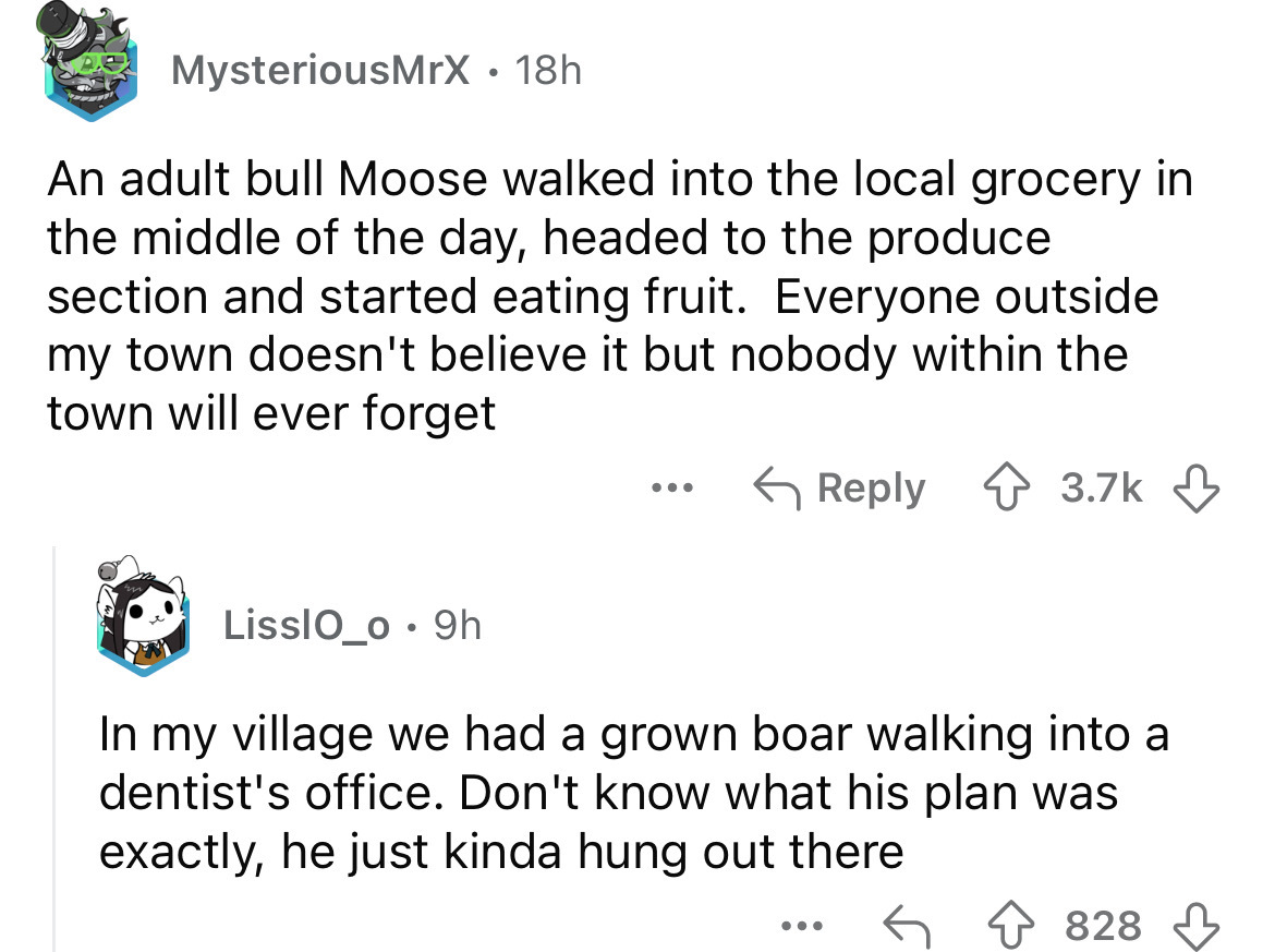 screenshot - MysteriousMrX 18h An adult bull Moose walked into the local grocery in the middle of the day, headed to the produce section and started eating fruit. Everyone outside my town doesn't believe it but nobody within the town will ever forget ... 