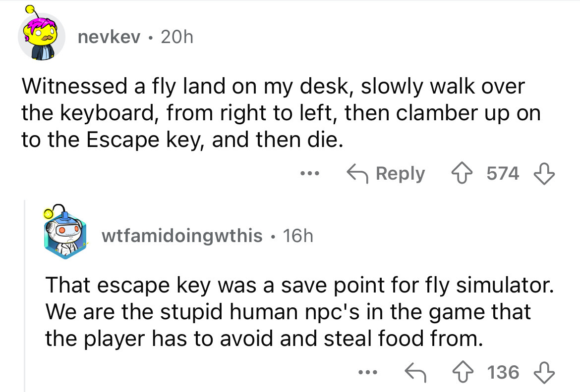 screenshot - nevkev 20h Witnessed a fly land on my desk, slowly walk over the keyboard, from right to left, then clamber up on to the Escape key, and then die. wtfamidoingwthis 16h . 574 That escape key was a save point for fly simulator. We are the stupi