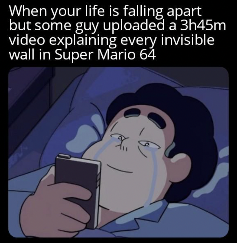 distractible memes - When your life is falling apart but some guy uploaded a 3h45m video explaining every invisible wall in Super Mario 64 54