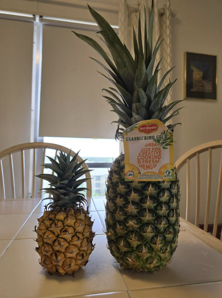 ananas