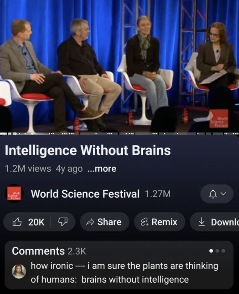 screenshot - Intelligence Without Brains 1.2M views 4y ago ...more World Science Festival 1.27M 20K World Remix Downlo how ironic i am sure the plants are thinking of humans brains without intelligence