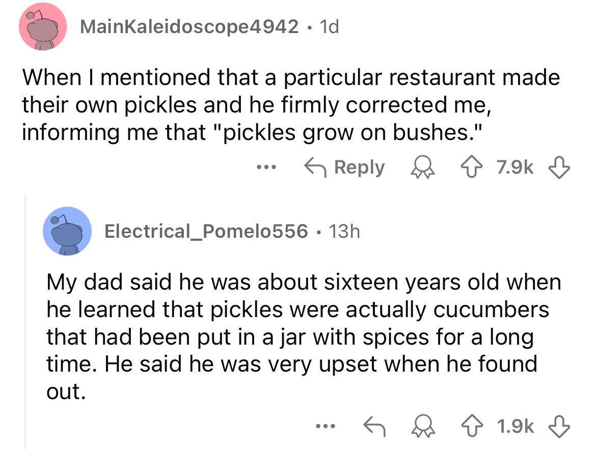 screenshot - MainKaleidoscope4942 .1d When I mentioned that a particular restaurant made their own pickles and he firmly corrected me, informing me that "pickles grow on bushes." Electrical_Pomelo556 13h My dad said he was about sixteen years old when he 