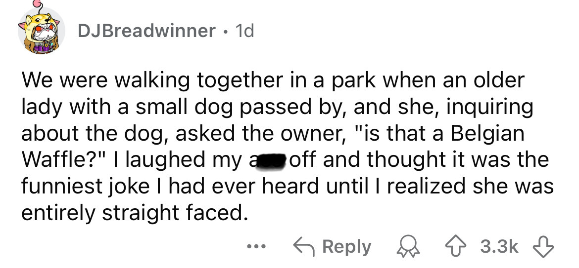 number - DJBreadwinner 1d We were walking together in a park when an older lady with a small dog passed by, and she, inquiring about the dog, asked the owner, "is that a Belgian Waffle?" I laughed my a off and thought it was the funniest joke I had ever h