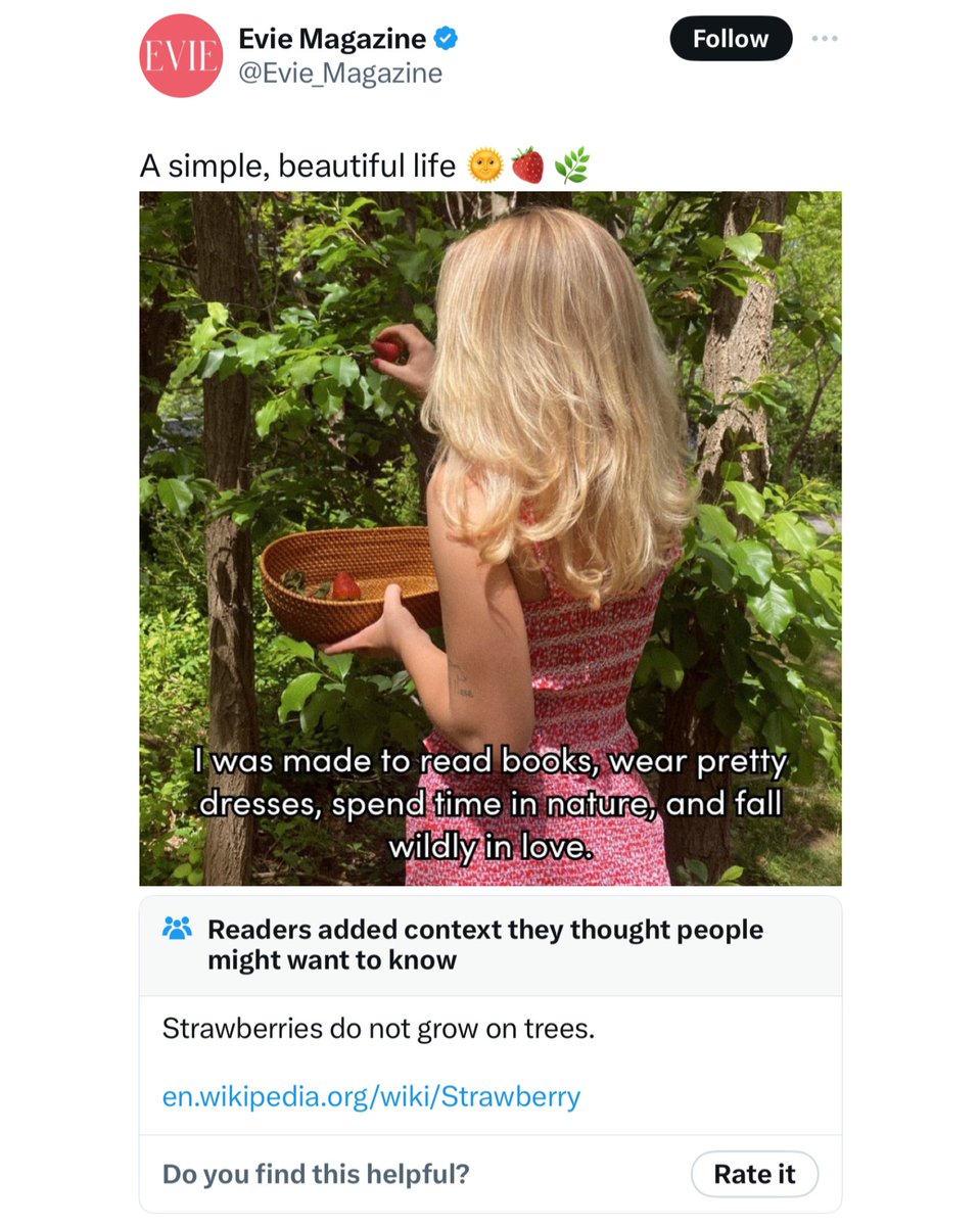 photo caption - Evie Evie Magazine A simple, beautiful life I was made to read books, wear pretty dresses, spend time in nature, and fall wildly in love. Readers added context they thought people might want to know Strawberries do not grow on trees.…