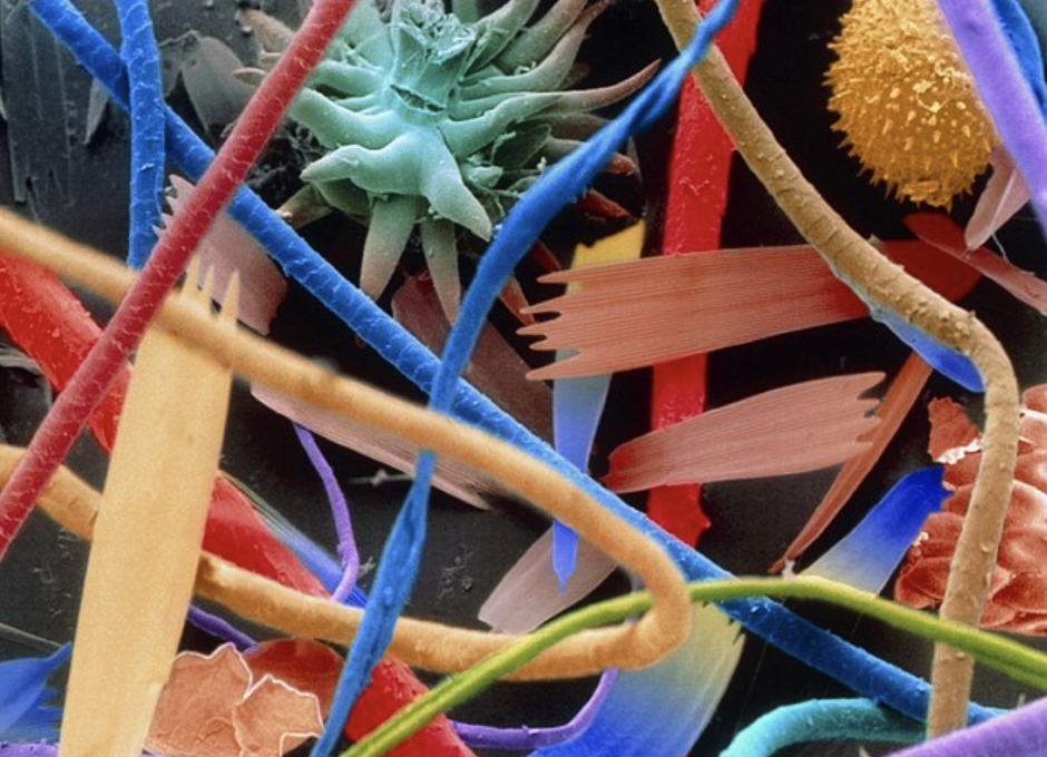 dust under a microscope