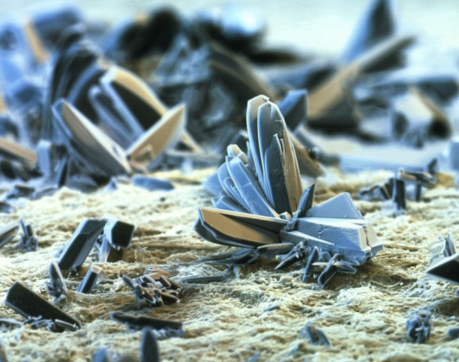 cigarette paper under microscope