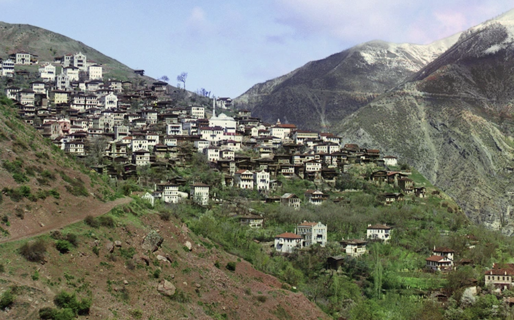 General view of Artvin, now in Turkey, from the small town of Svet, 1910.