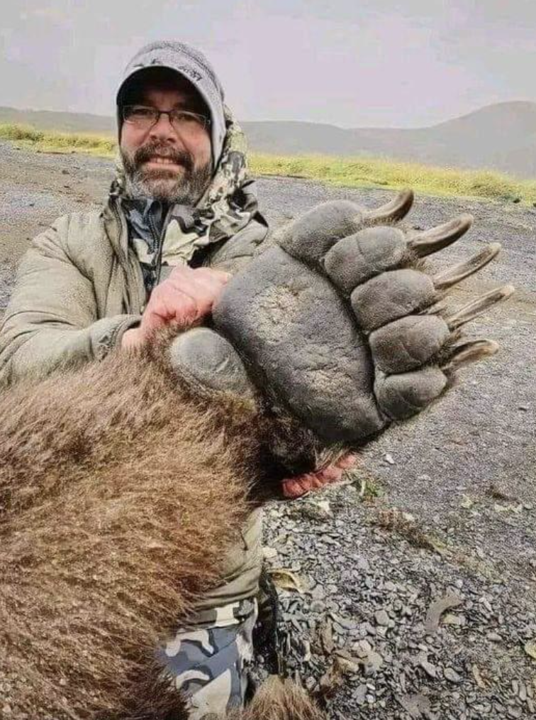 grizzly bear paw