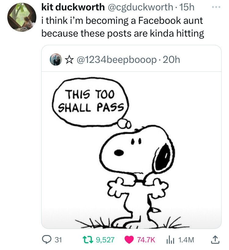 snoopy looking - kit duckworth 15h i think i'm becoming a Facebook aunt because these posts are kinda hitting . 20h This Too Shall Pass 31 t 9,527 ili 1.4M