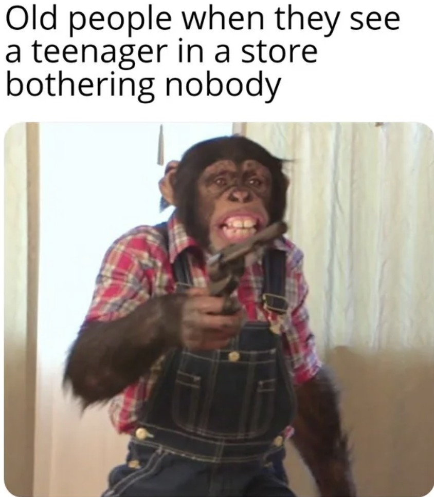 monkey holding a gun meme - Old people when they see a teenager in a store bothering nobody