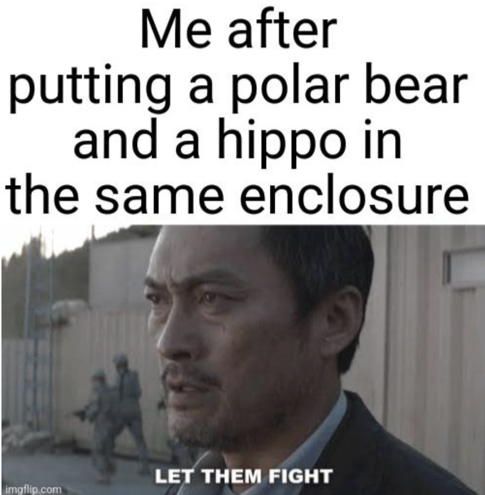 photo caption - Me after putting a polar bear and a hippo in the same enclosure Let Them Fight imgflip.com