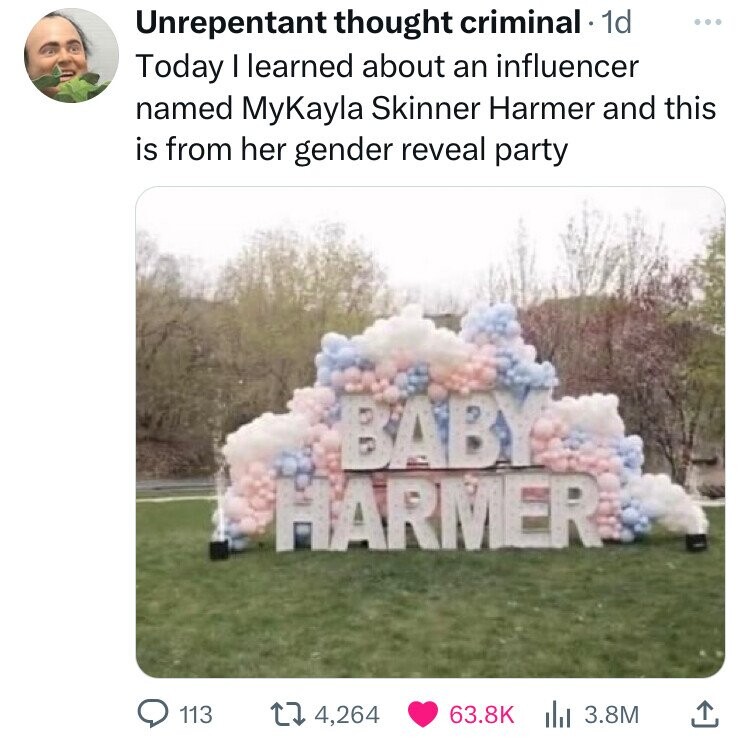 photo caption - Unrepentant thought criminal. 1d Today I learned about an influencer named MyKayla Skinner Harmer and this is from her gender reveal party Baby Harmer 113 4,264 3.8M