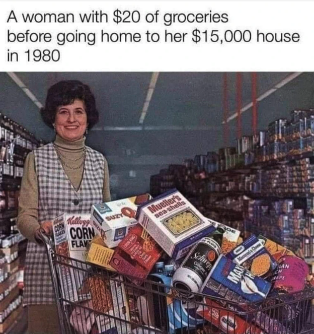 $20 worth of groceries in 1980 - A woman with $20 of groceries before going home to her $15,000 house in 1980 Kellogg Corn Flan Suzy Mueller's sea shells Schwep An