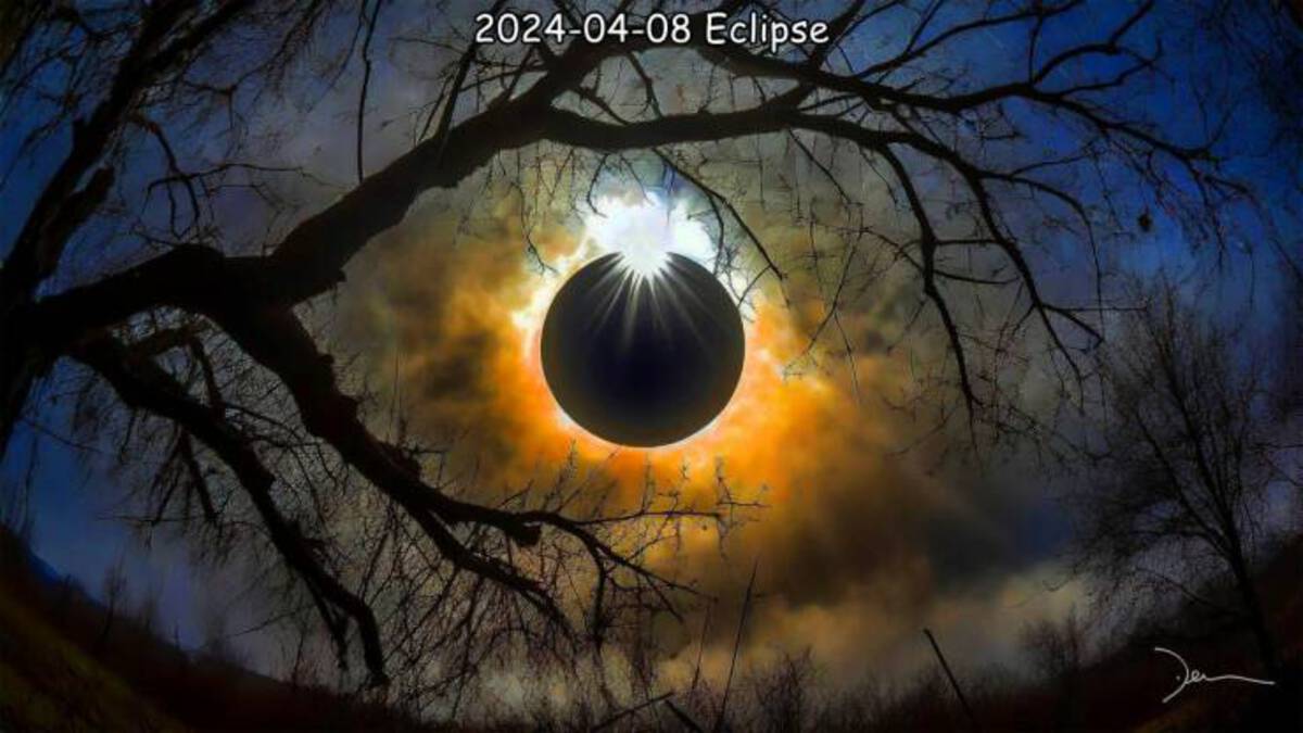 fascinating photos - tree - Eclipse