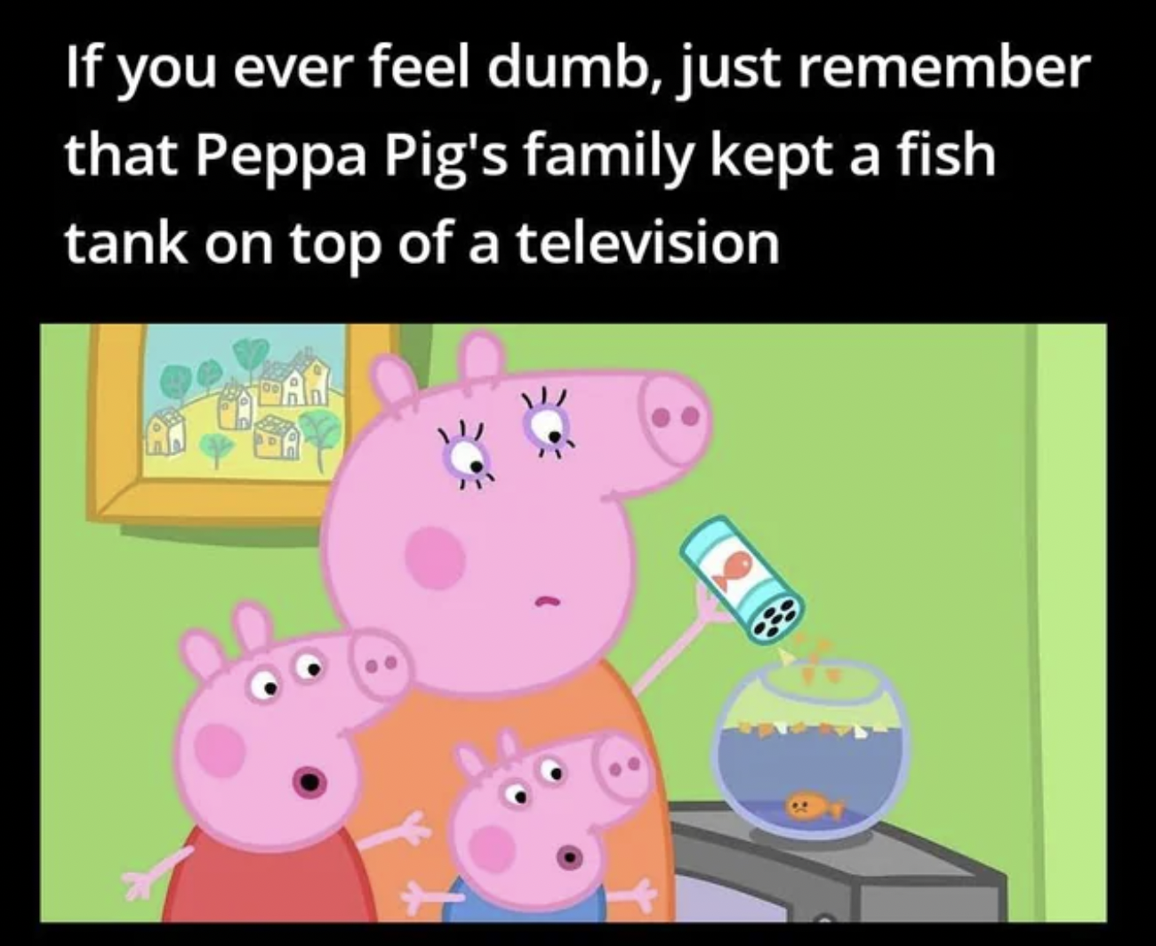 Peppa Pig - If you ever feel dumb, just remember that Peppa Pig's family kept a fish tank on top of a television Car A