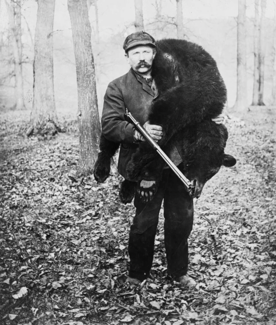 bear hunting old