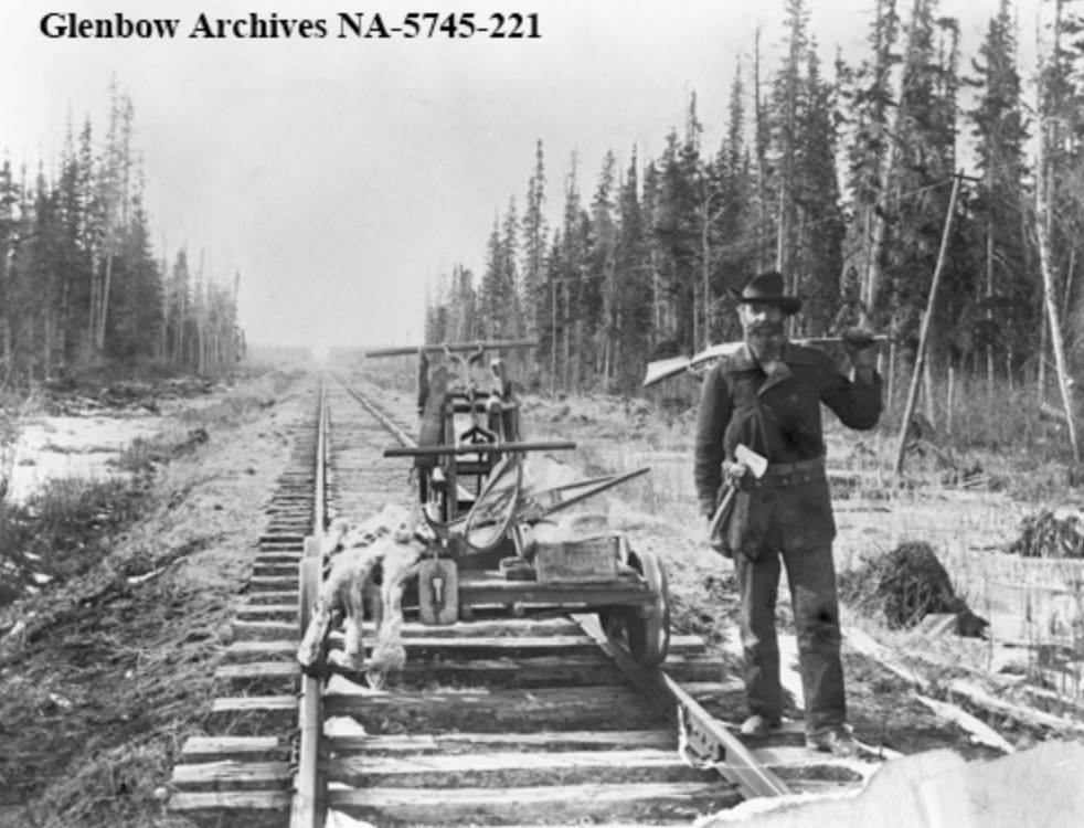 pine - Glenbow Archives Na5745221