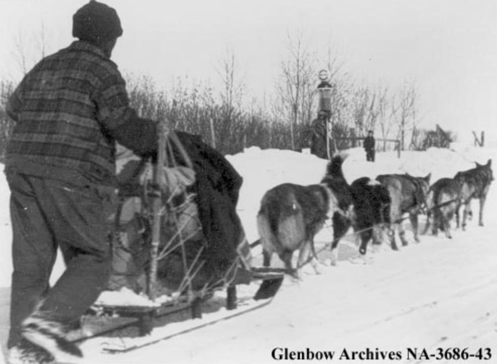 canadian eskimo dog - N Glenbow Archives Na368643