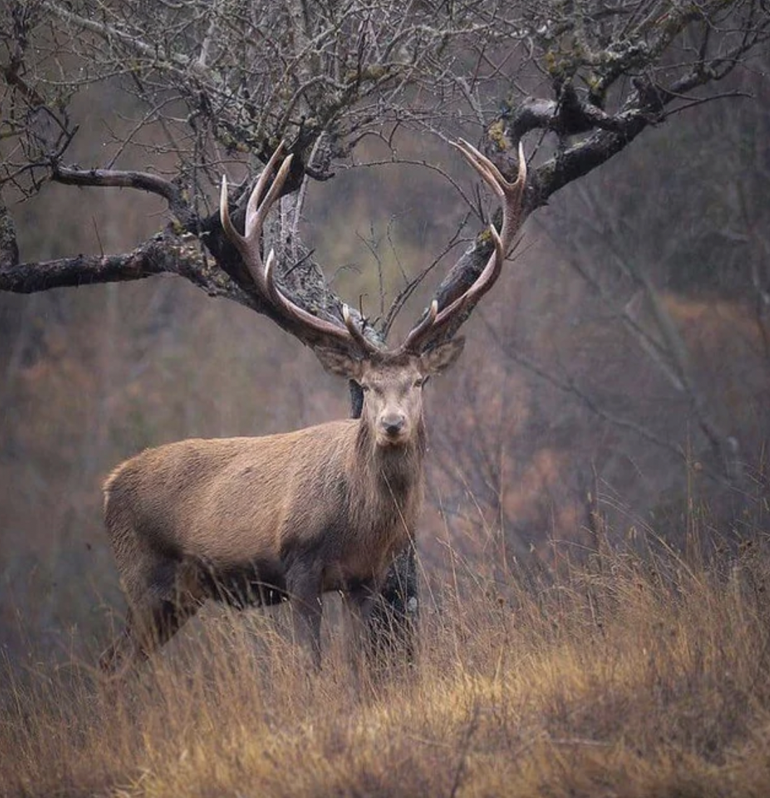 20 Photos of Awesome Coincidences Taken at the Perfect Moment