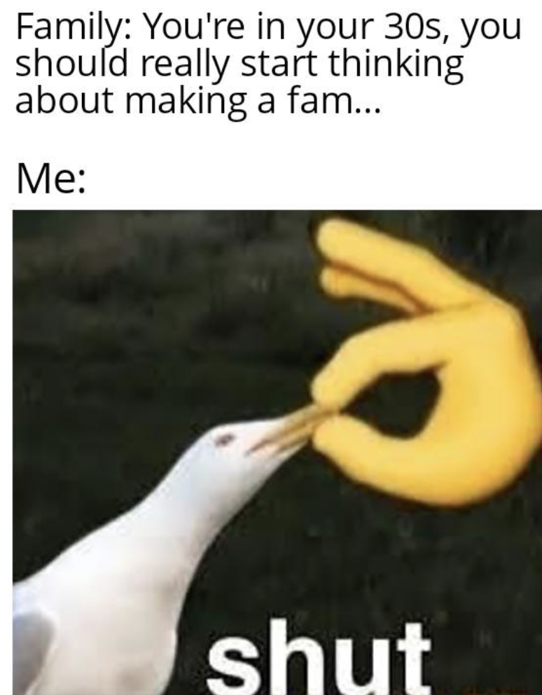 meme to annoy someone - Family You're in your 30s, you should really start thinking about making a fam... Me shut