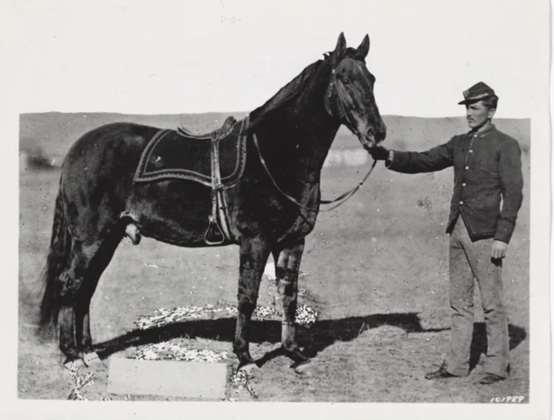 29 Vintage Wild West Pics to Giddy Up and Go