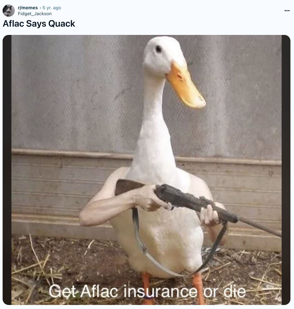 duck holding gun - rmemes 5 yr ago Fidget Jackson Aflac Says Quack Get Aflac insurance or die