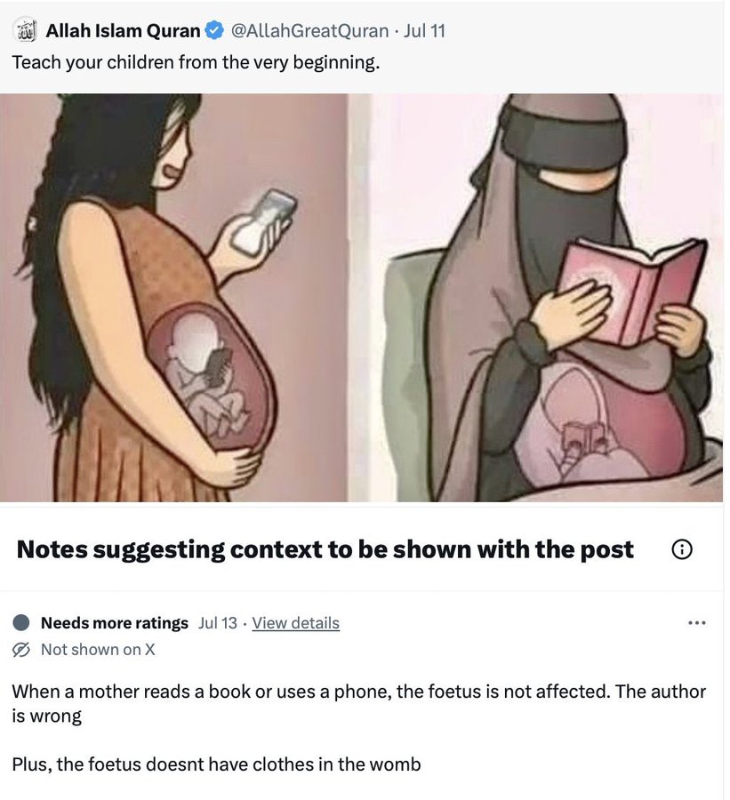 cartoon - Allah Islam Quran Jul 11 Teach your children from the very beginning. Notes suggesting context to be shown with the post Needs more ratings Jul 13 View details Not shown on X When a mother reads a book or uses a phone, the foetus is not affected