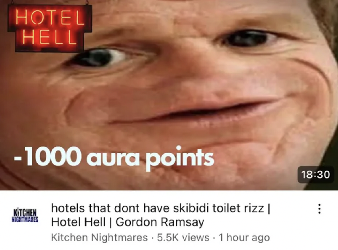 photo caption - Hotel Hell 1000 aura points Kitchen hotels that dont have skibidi toilet rizz | Nightmares Hotel Hell | Gordon Ramsay Kitchen Nightmares views 1 hour ago B