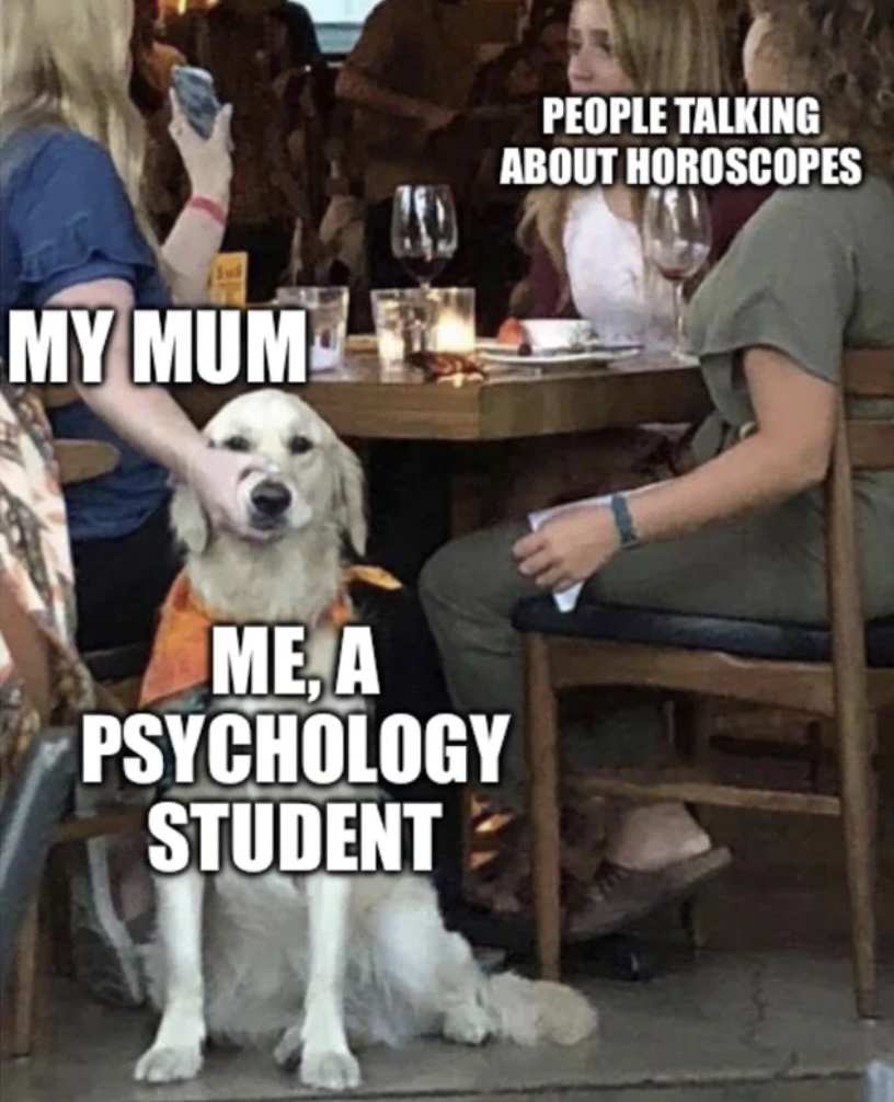 thats what she said dog meme - My Mum Me, A Psychology Student People Talking About Horoscopes