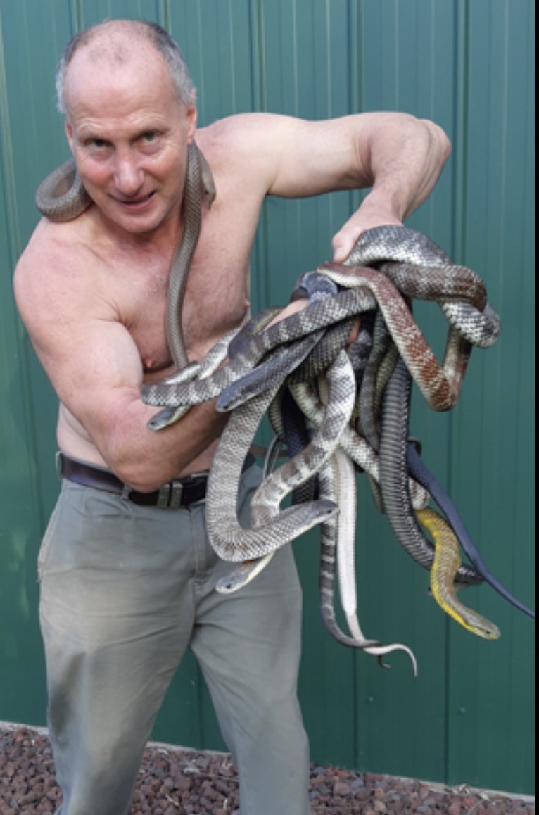 melbourne petrol station tiger snake