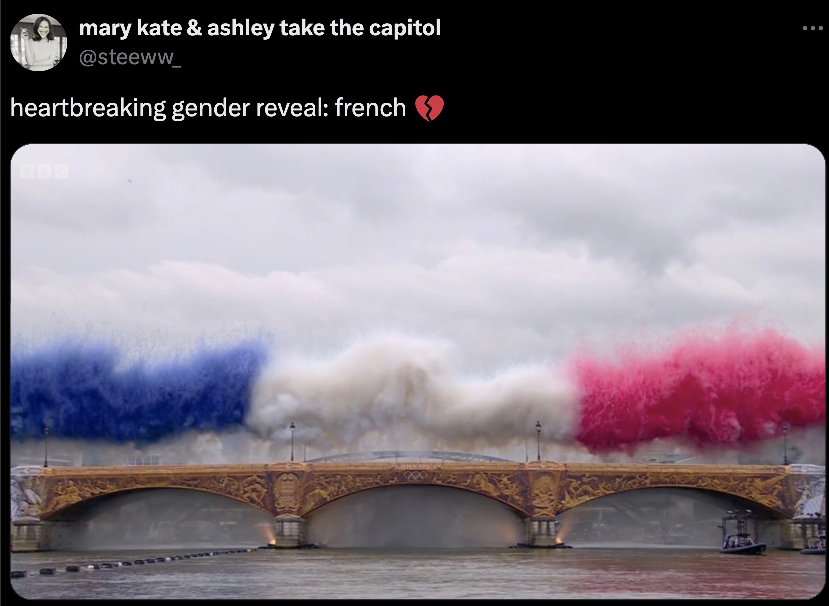 Olympic Games - mary kate & ashley take the capitol heartbreaking gender reveal french Boc