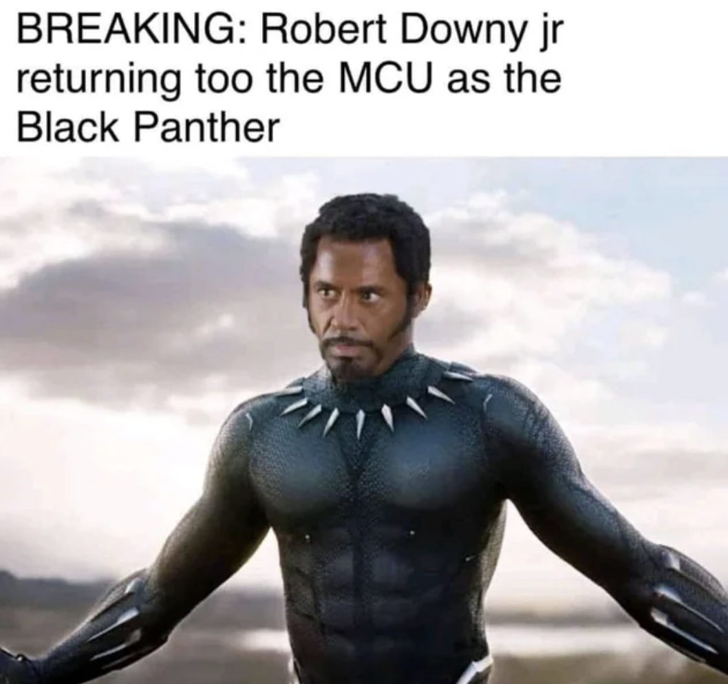 black panther meme - Breaking Robert Downy jr returning too the Mcu as the Black Panther