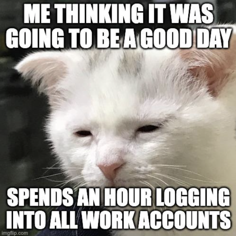 awake but at what cost cat - Me Thinking It Was Going To Be A Good Day Spends An Hour Logging Into All Work Accounts imgflip.com