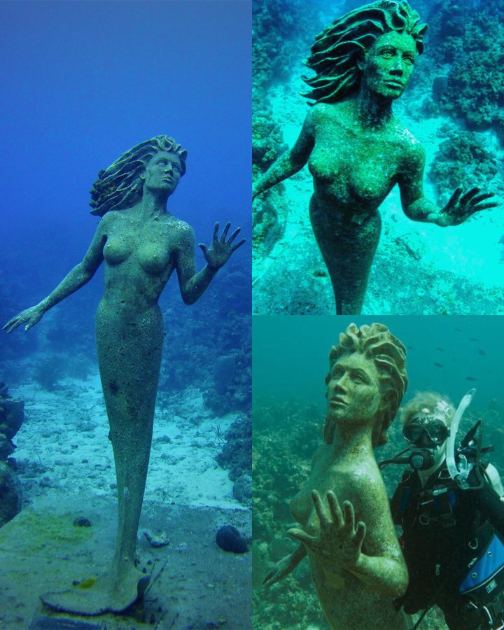 A 9-feet tall bronze mermaid sculpture of Amphitrite, created in 2000 by Simon Morris, rests 50 feet beneath the waves on Grand Cayman Island.