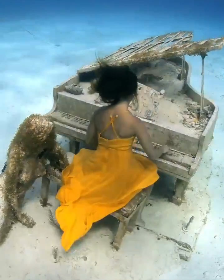 The Musician by Jason DeCaires Taylor is a standalone sculpture of a full-scale mermaid waiting near the bench of a Steinway concert grand piano replica. Seen here played by a performer.