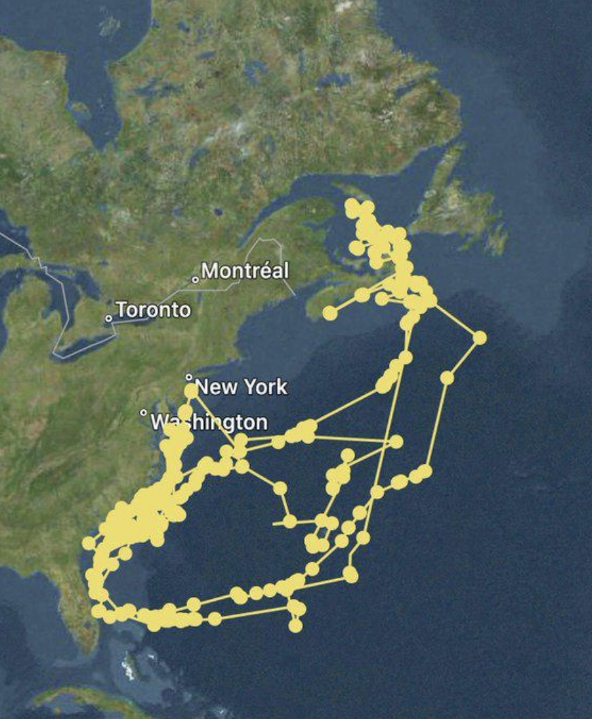 shark draws shark with tracker - Toronto Montral New York Washington