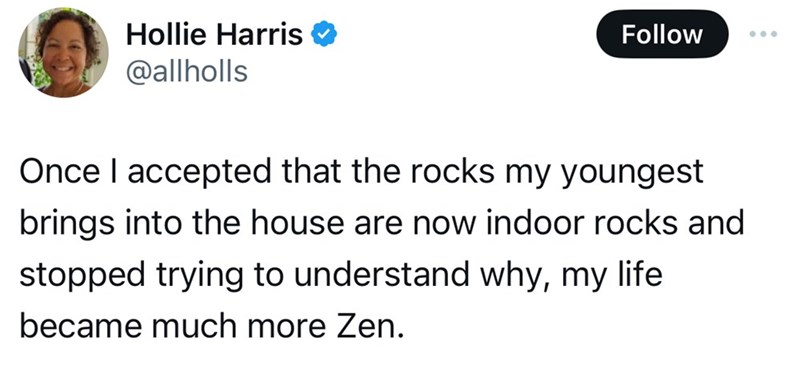 screenshot - Hollie Harris Once I accepted that the rocks my youngest brings into the house are now indoor rocks and stopped trying to understand why, my life became much more Zen.