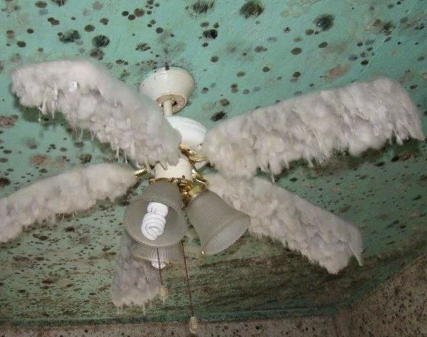 creepy pictures that will make you say nope