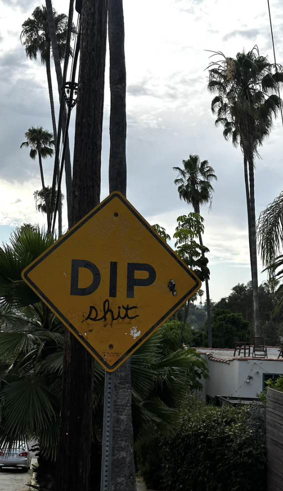 street sign - Dip shit