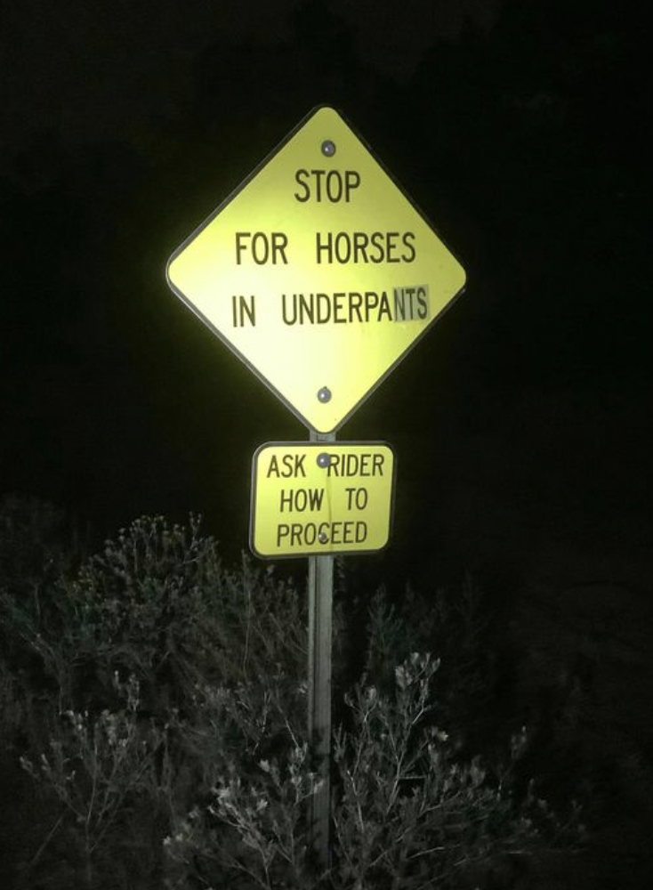 traffic sign - Stop For Horses In Underpants Ask Rider How To Proseed